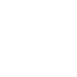 Premium Quality Assurance